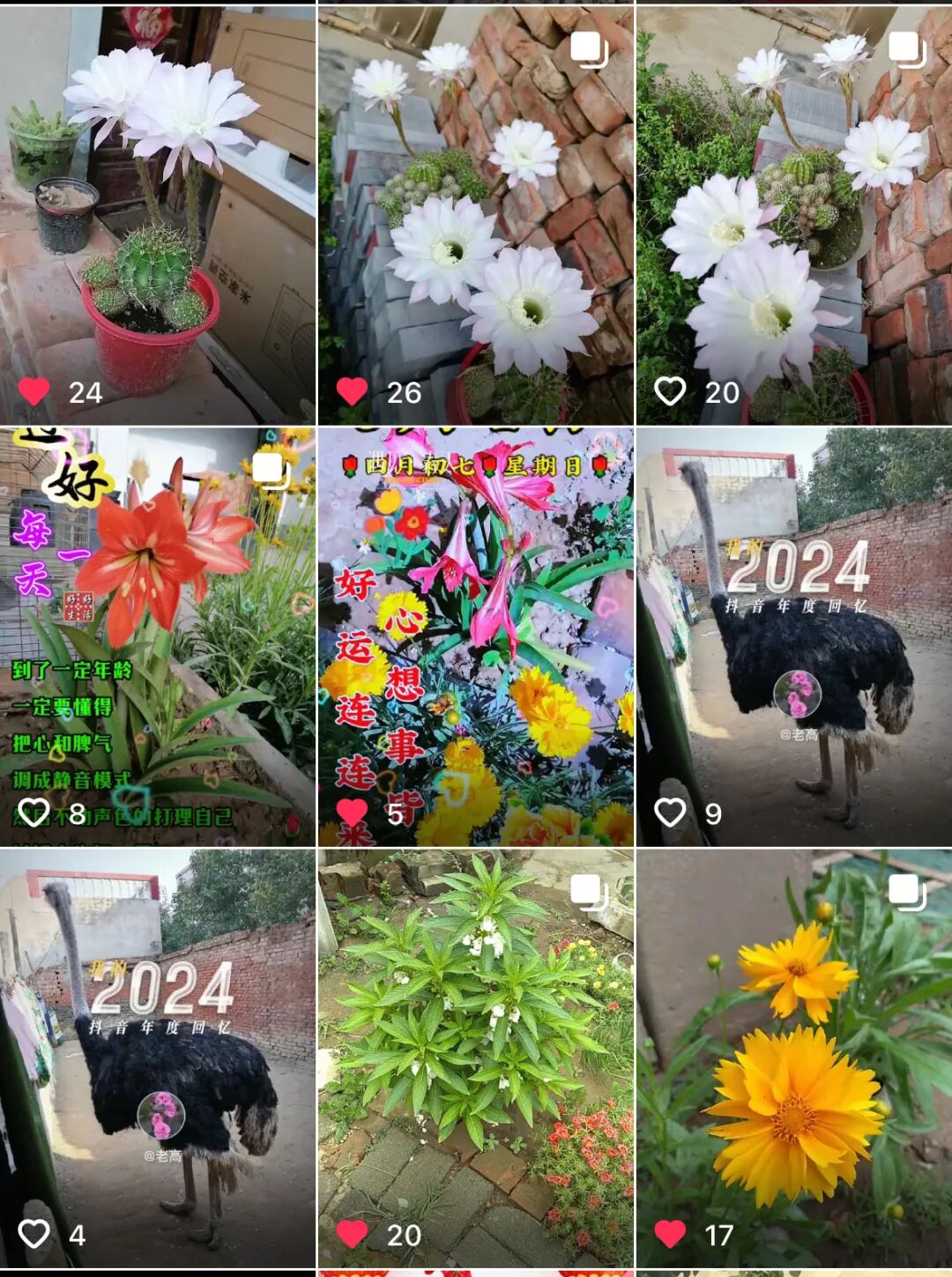 序号（125） 提交时间（2026/3/18 21:49:37）