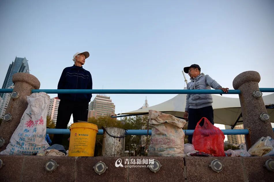 青岛故事：为了喂海鸥 他掏三年垃圾桶