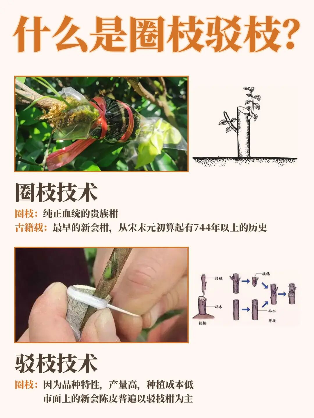 81b10cbdf38ea4b9b430cab0890b1f0b.jpg