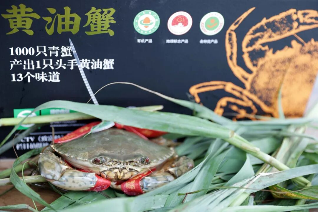 南沙黄油蟹之乡07.JPG