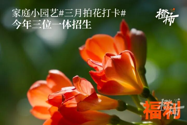微信图片_20250301164148.jpg