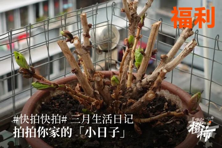微信图片_20250306113752.jpg