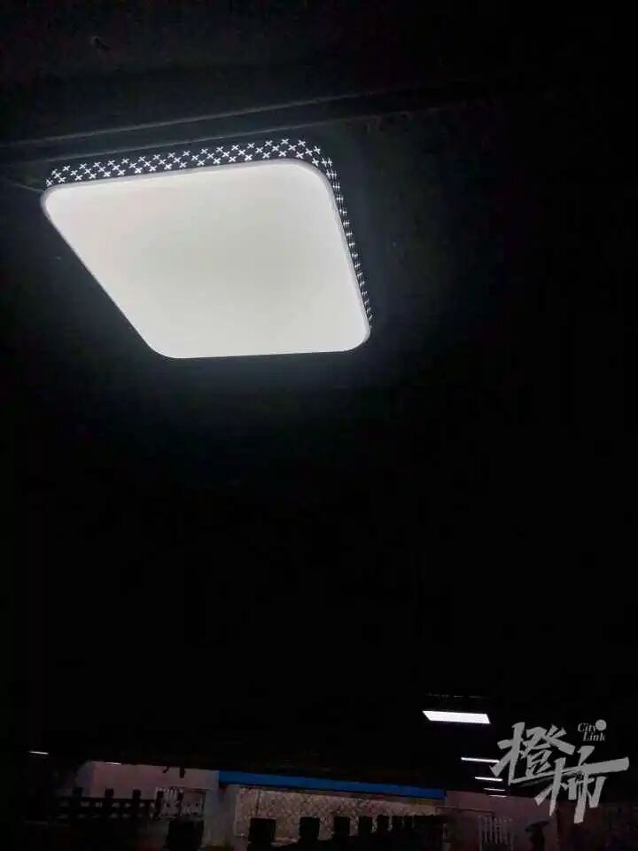 天目山路路灯.jpg