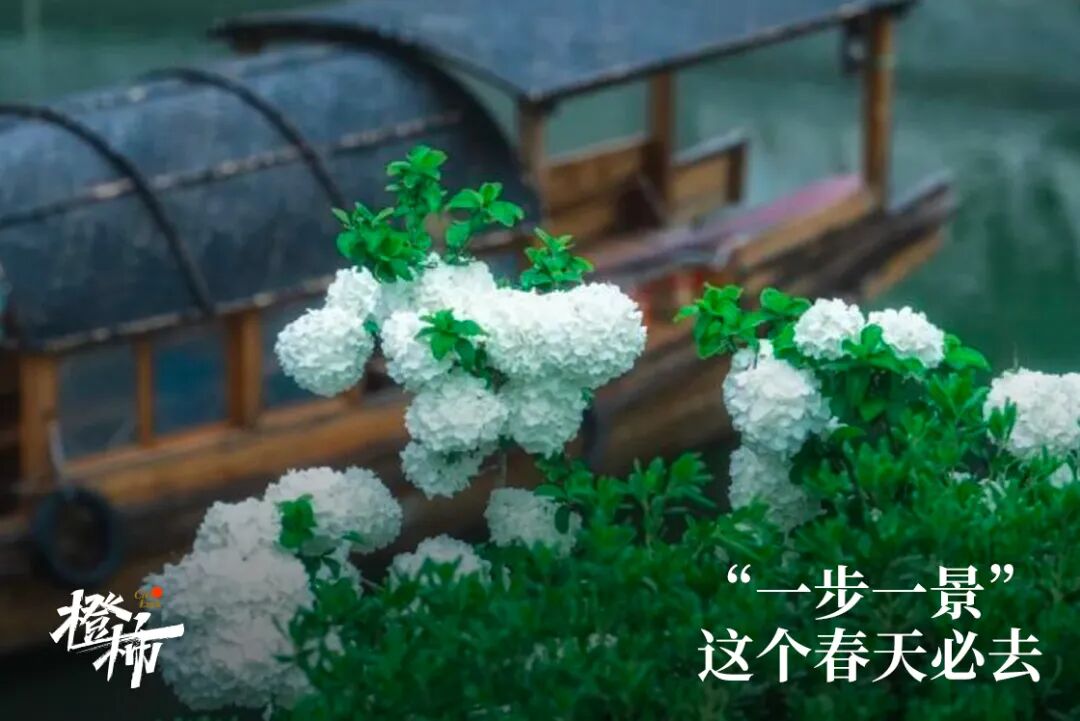 6ddba01ee85633bcaf85fa3cc66b7fa.png