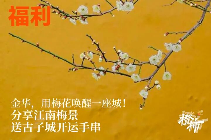 微信图片_20250218192703.jpg
