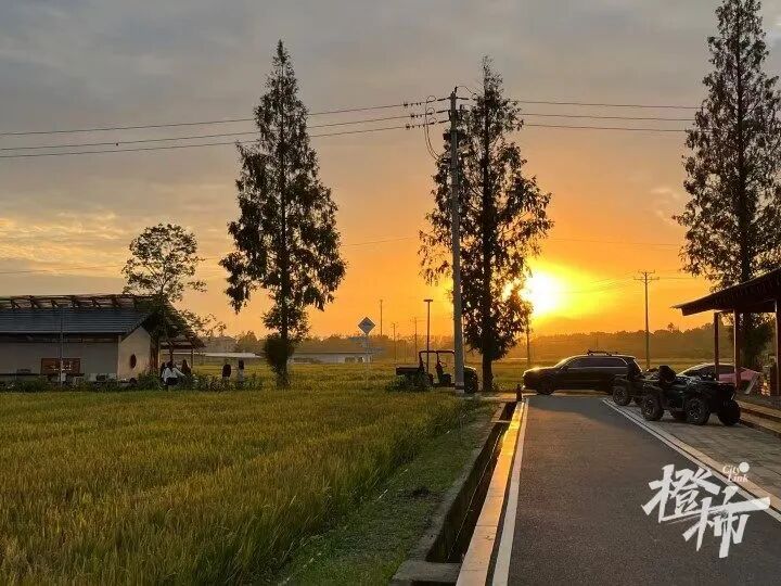 3aeb4bc0-a186-445e-b7c1-f376c4822c3a.jpeg