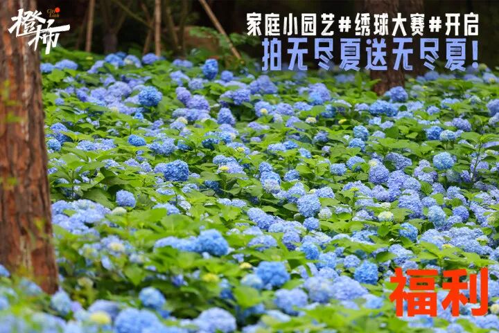 8ff3df41b8a1246f305d870f2f7a5b2.jpg