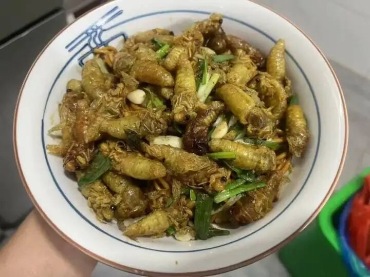 微信图片_20250702111816.jpg