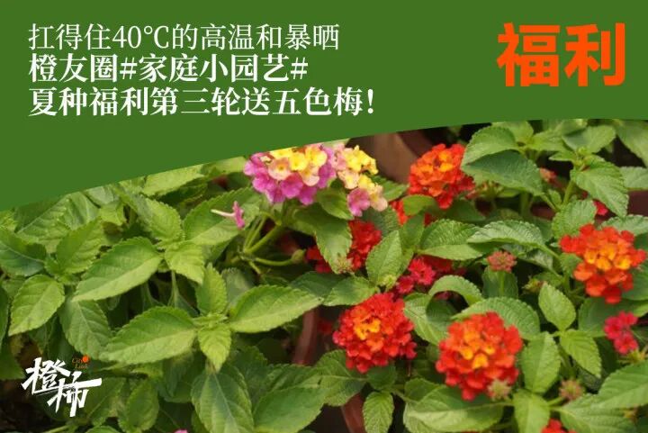 e5112f563be5dd3885f90c582155e62.jpg