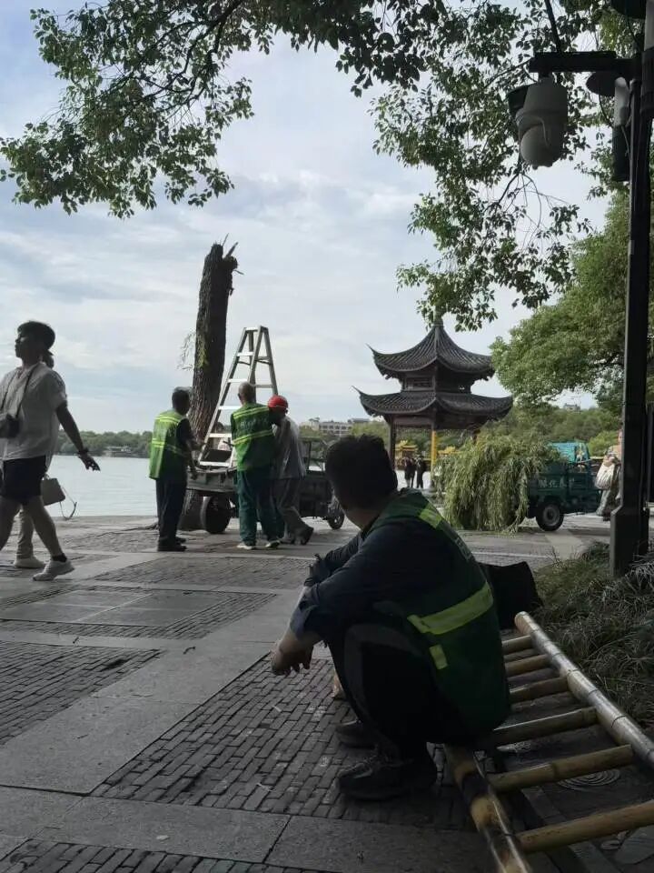 d8598573c546227496e00f2d8c317d6a.jpg