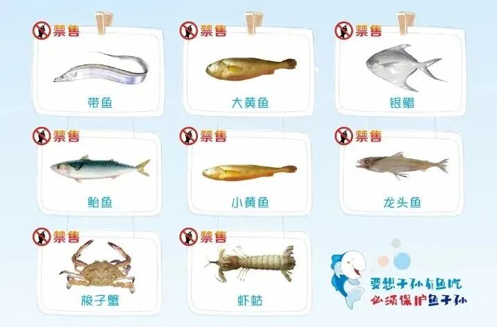 微信截图_20250428110105.png