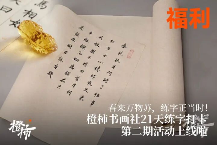 240e6cbee52cf87b1dede70dfc11eab.jpg
