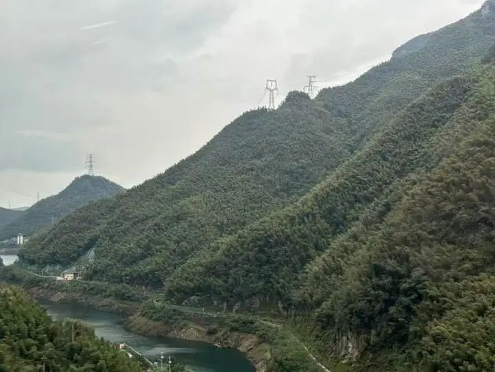 1181761905254_.pic.jpg