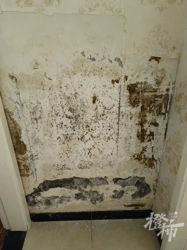 微信图片_20250325214945.jpg