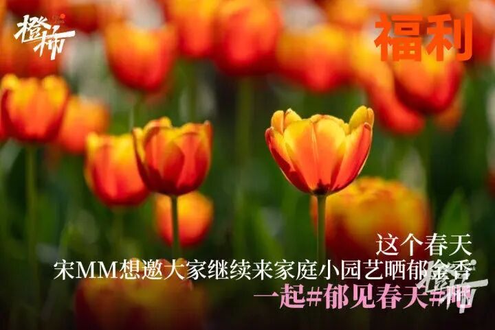 cd7233e9-643d-46cd-83b5-28bef724b7f8.jpg