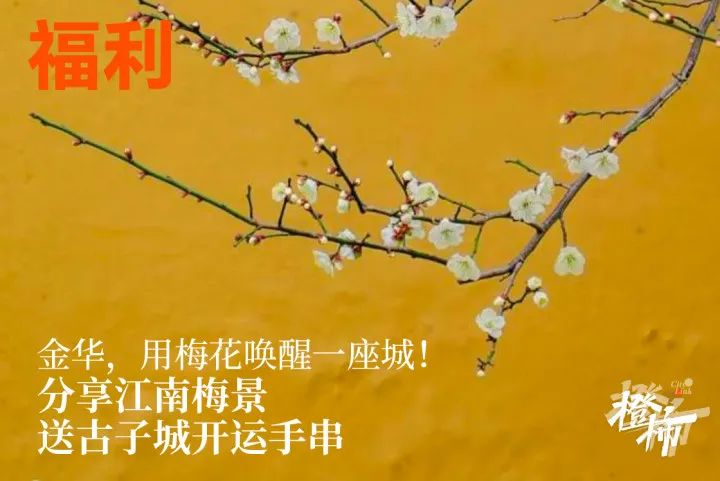 微信图片_20250218192703.jpg