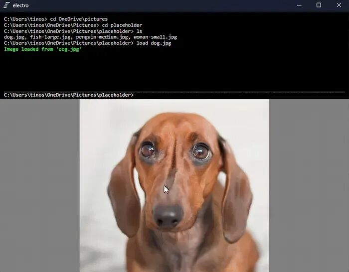 Image