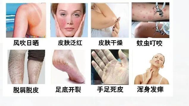 50a033d4eae9a0cce192c5f205fb011.jpg