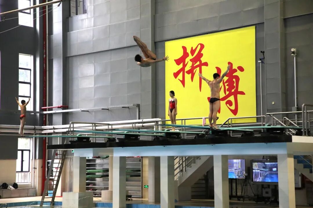 245A8151.JPG