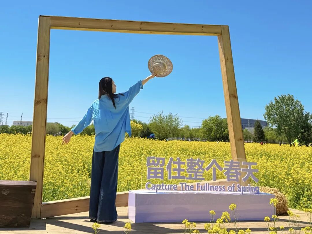 微信图片_20260429150650_5141_31.jpg