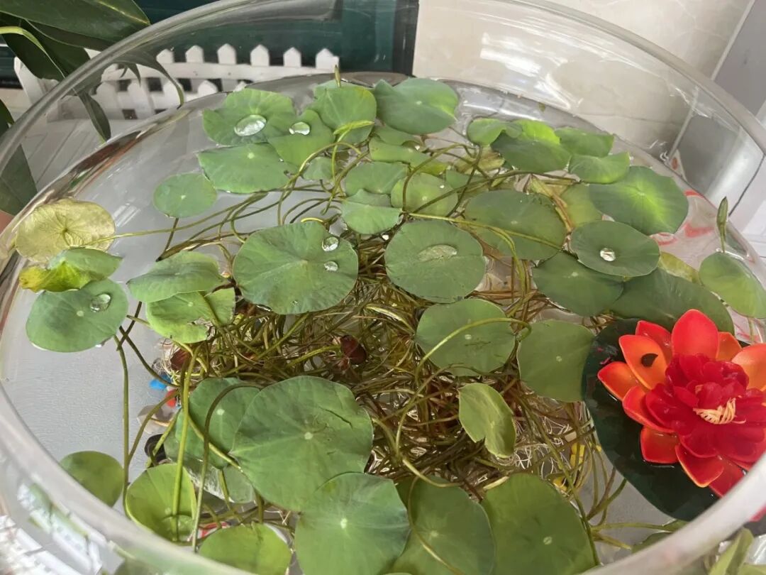 cc5932b58a82ad64290fb1248d8770fa.jpg