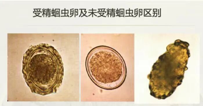 微信图片_20251106155445.jpg