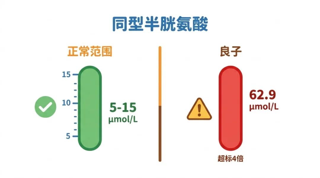 同型半胱氨酸指标截图