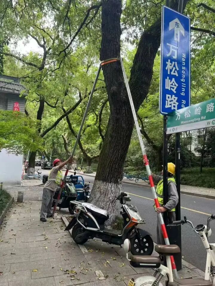凤凰山.jpg