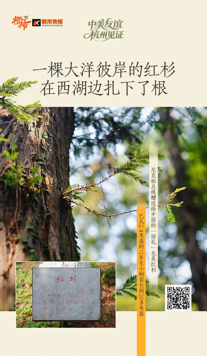 a3d7874f75611889ea0d98f13fb7fa43.jpg