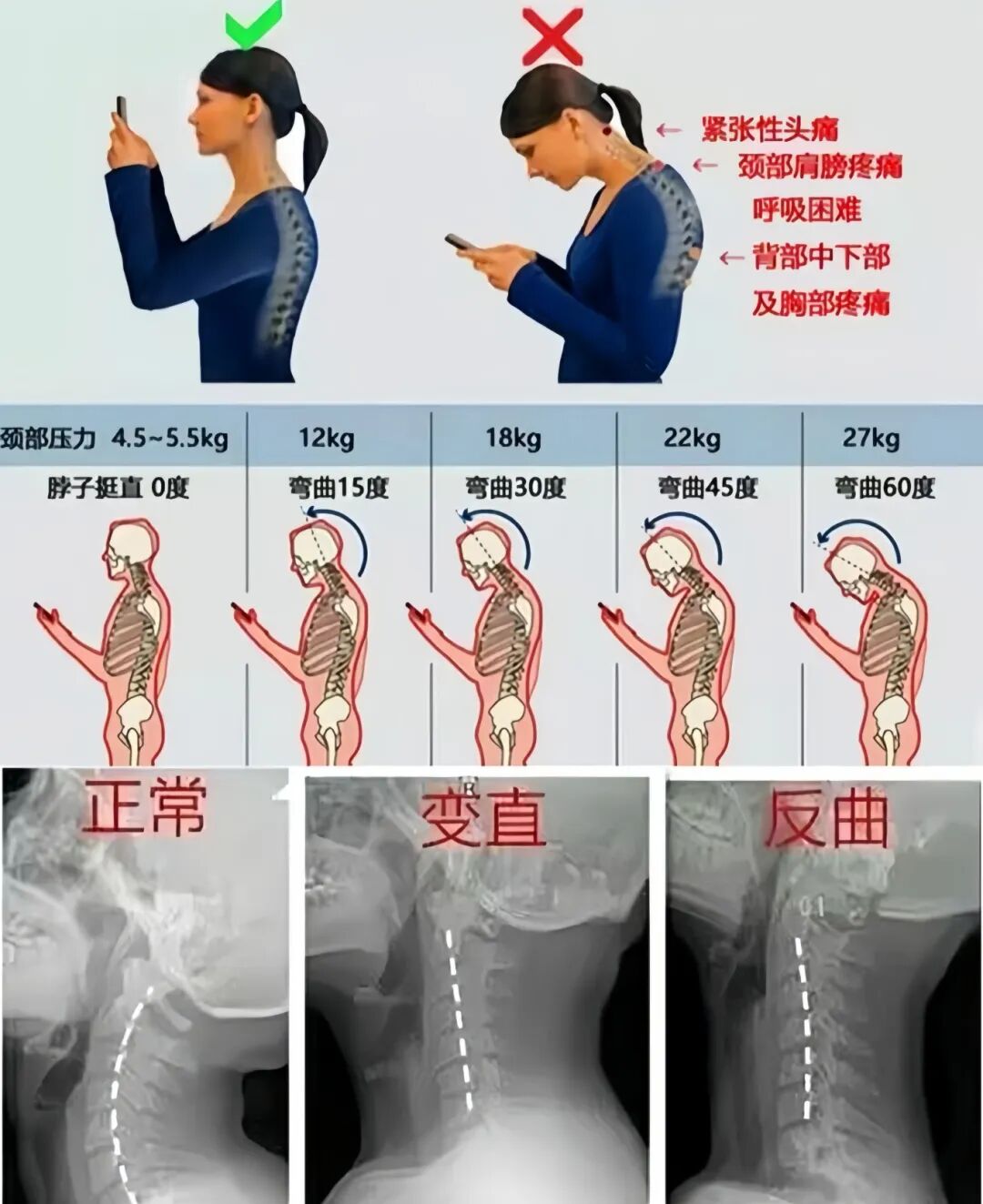 4d9a2597d328e7cccd0574b6971526cc.jpg