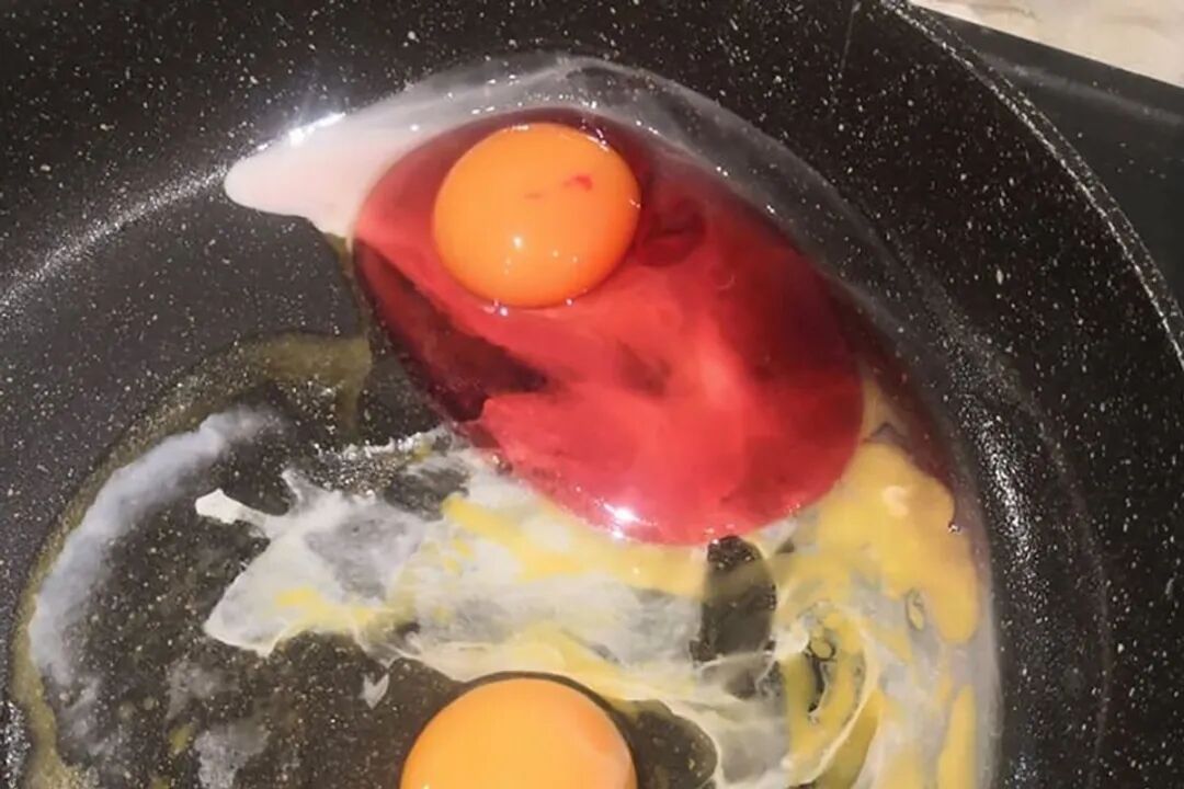 Pink tinted fried egg