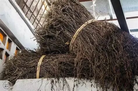 草粿草,潮汕草,仙人草_大山谷图库