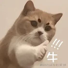 niu.gif