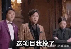 这项目我投了.gif