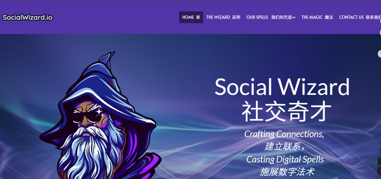 官网链接：https://www.socialwizard.io/