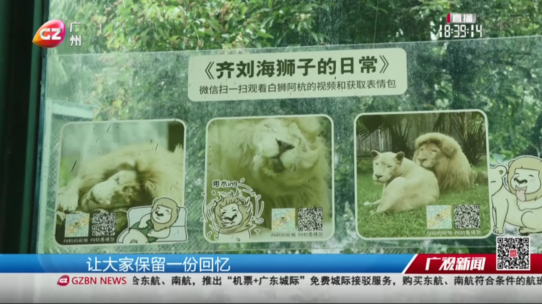 阿杭[00_01_35][20260716-193429].png