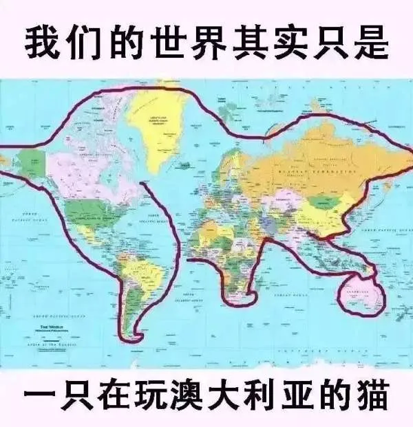 只要会思考，世界就是个小猫咪
