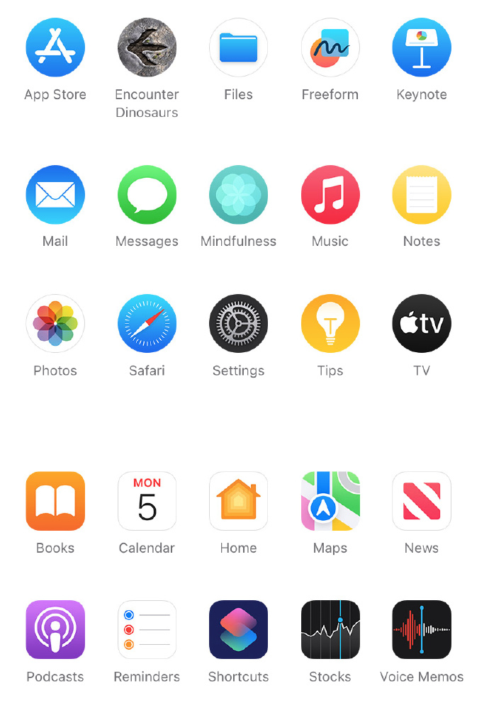 Image