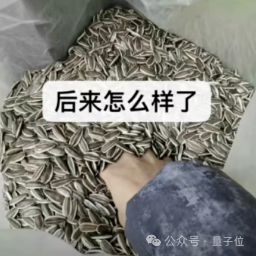 飞书文档 - 图片