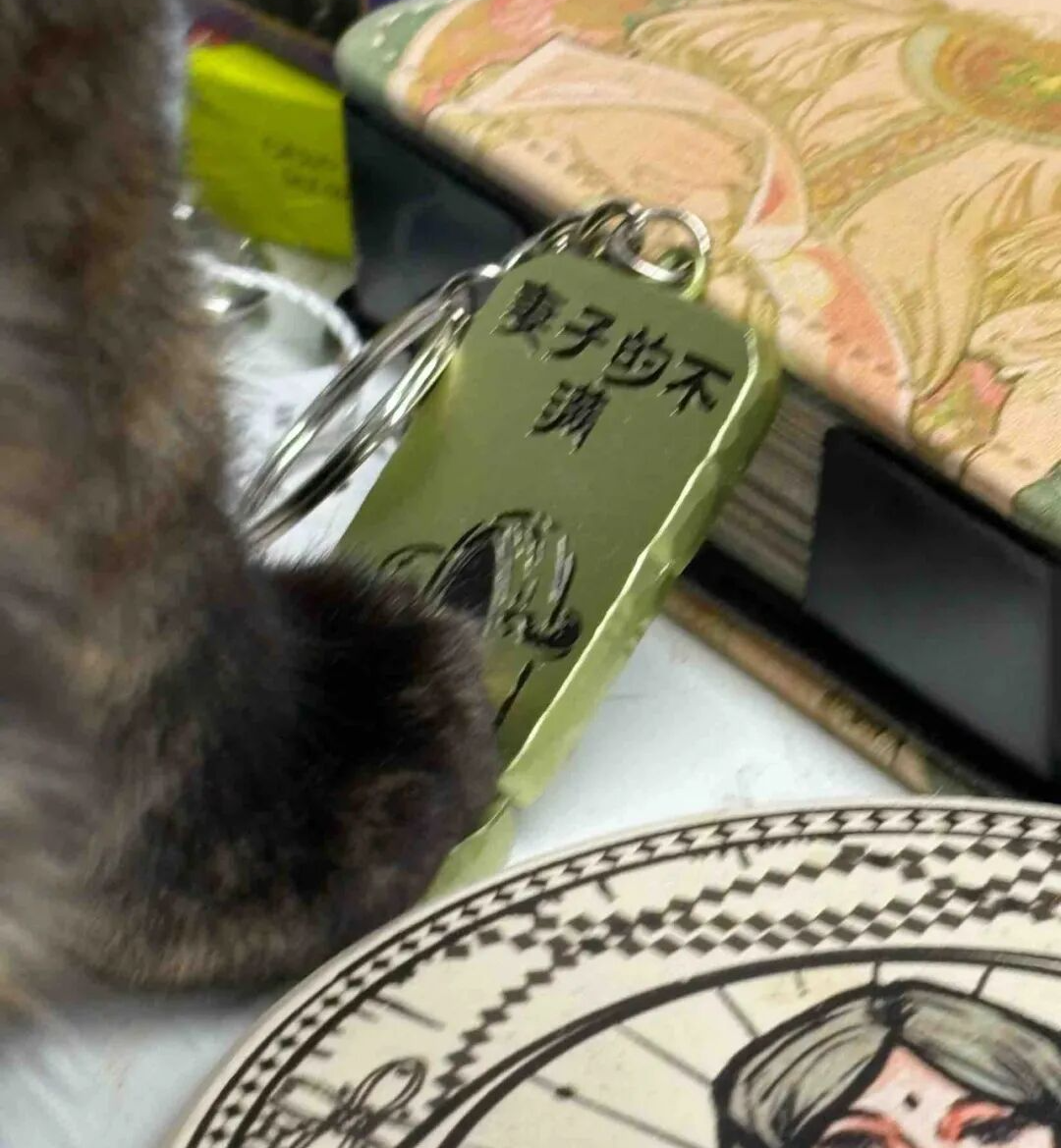猫在床上的书 AI 生成的内容可能不正确。