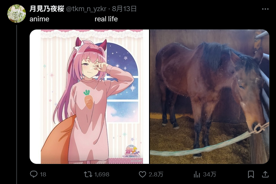 网站 AI 生成的内容可能不正确。