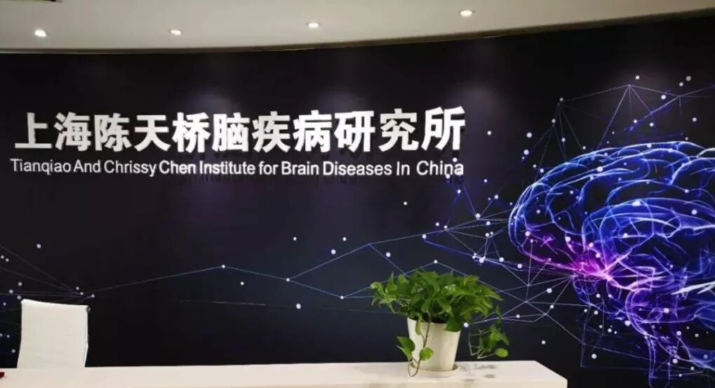 网站 AI 生成的内容可能不正确。