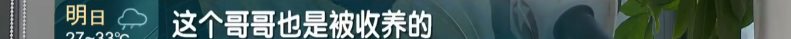 97d4aba842f246d0f3edae772321f16.png