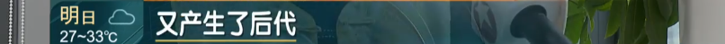 d6930c670b466dfeecb72f075eefe6d.png