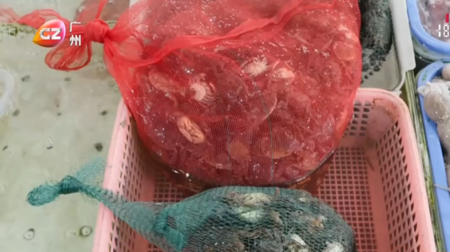 开渔时节忙抢“鲜” 生猛鱼虾入碗来[00_00_50][20250824-192918].png
