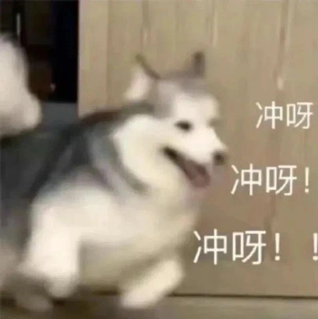 1744775104661.jpg