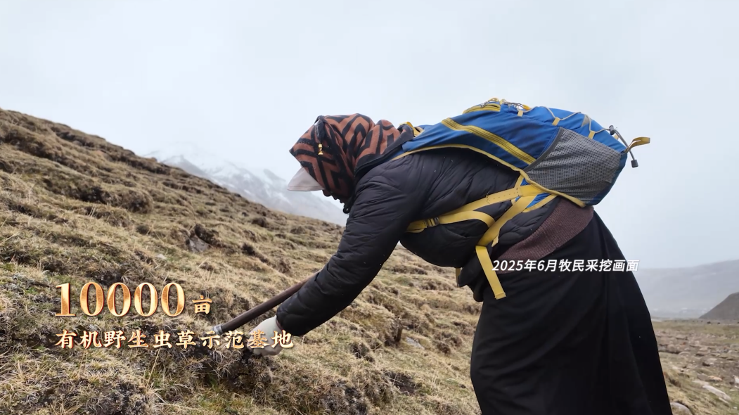 微信图片_20251217161716_145_789.png