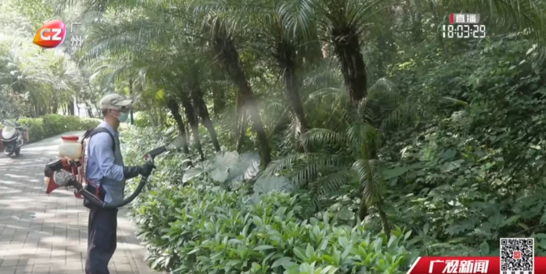 周末灭蚊 花都区加强公共外环境消杀[00_00_41][20250726-194132].png