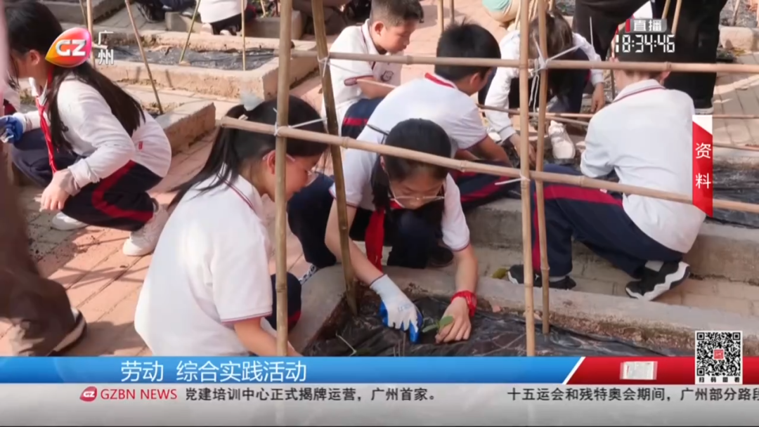 9月1日起！广州小学低年级周课时缩减至2[00_02_26][20250724-195819].png