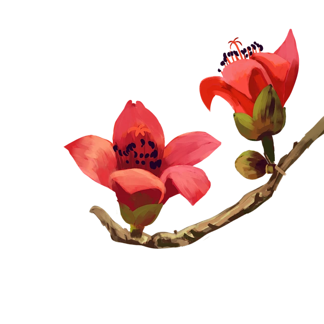 c74c1bfb98a5208c8ad2a7df0bc6de09274c852c11f2cf-qSUNFq_fw658webp - 副本.png